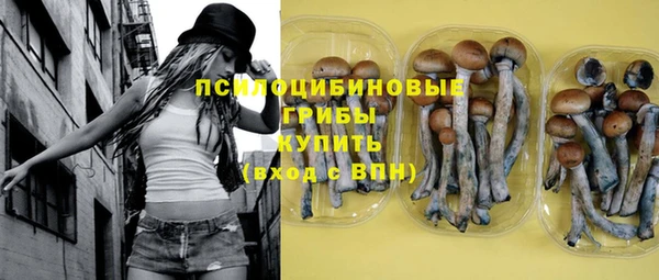 PSILOCYBIN Богородицк